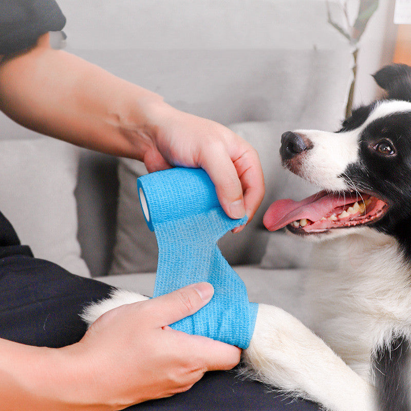 Person applying non-woven puppy dirt prevention products on a dog's paw with blue bandage, showcasing product usage.